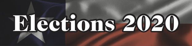 Elections 2020 logo